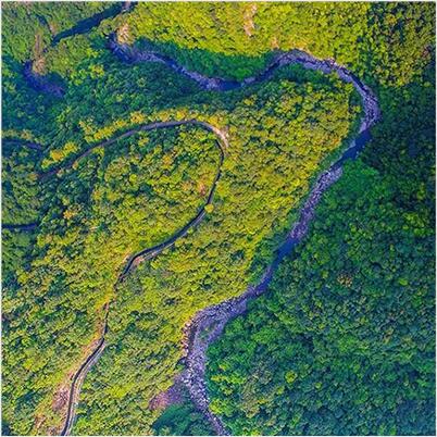 业务领域：林业发展规划、林业产业发展规划、林地；だ霉婊⑻厣昧植捣⒄构婊
、丛林资源经营规划、丛林资源规划设计、丛林经营规划、其它涉林工程规划设计