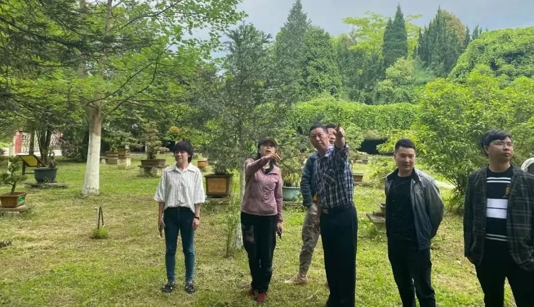 17-13-3707311732788291